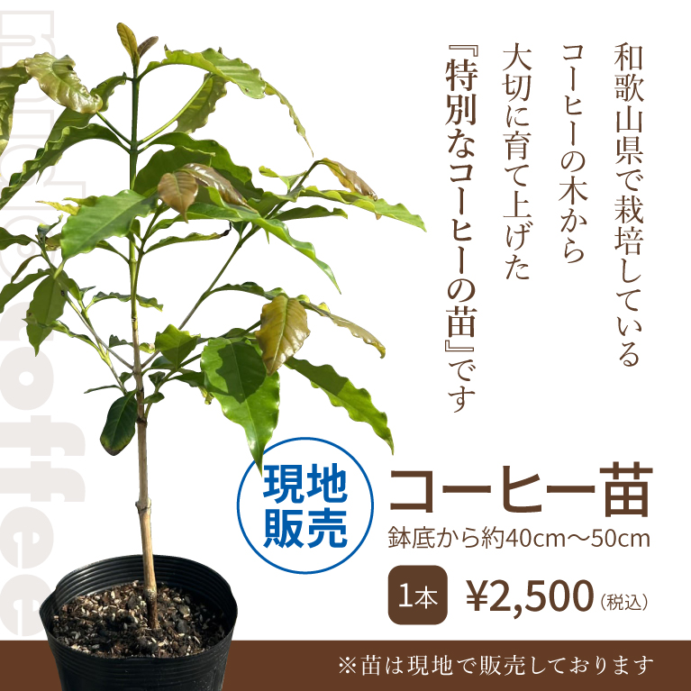 MIDO FARM