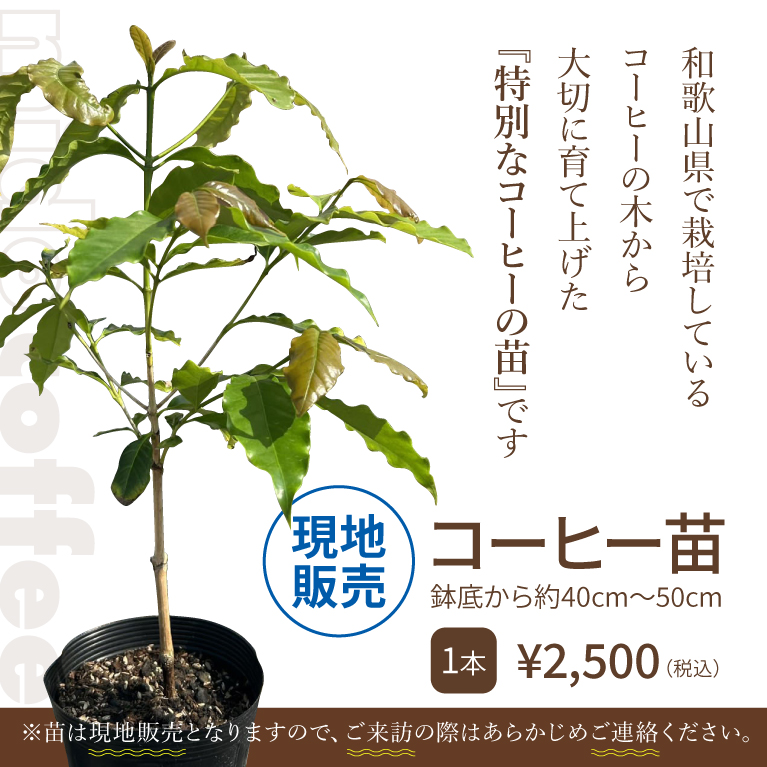 MIDO FARM